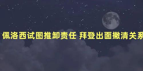 佩洛西试图推卸责任 拜登出面撇清关系